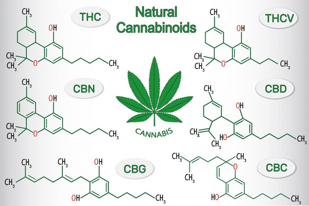 Cannabinoidi e patologie pelviche